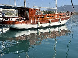 Bavaria 41